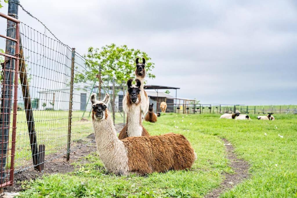 Silo House At Laughing Llama Farm Troy Exterior photo