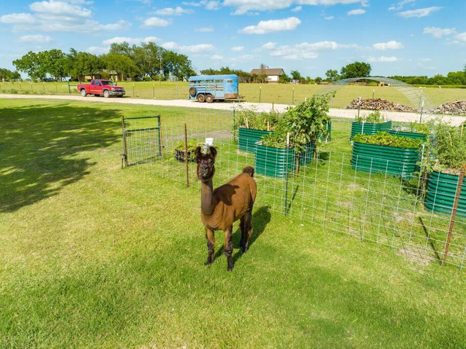 Silo House At Laughing Llama Farm Troy Exterior photo
