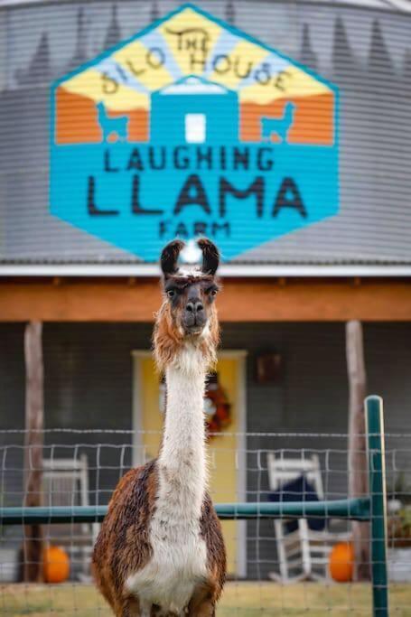 Silo House At Laughing Llama Farm Troy Exterior photo