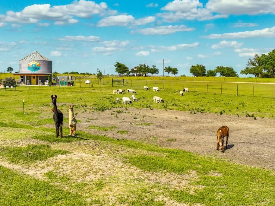 Silo House At Laughing Llama Farm Troy Exterior photo