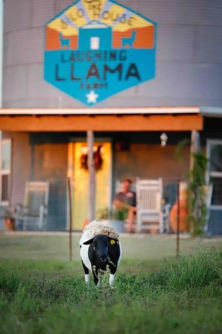 Silo House At Laughing Llama Farm Troy Exterior photo